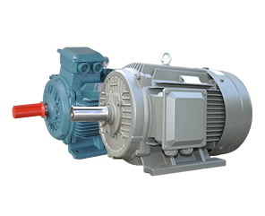 YE3系列 三相异步电机